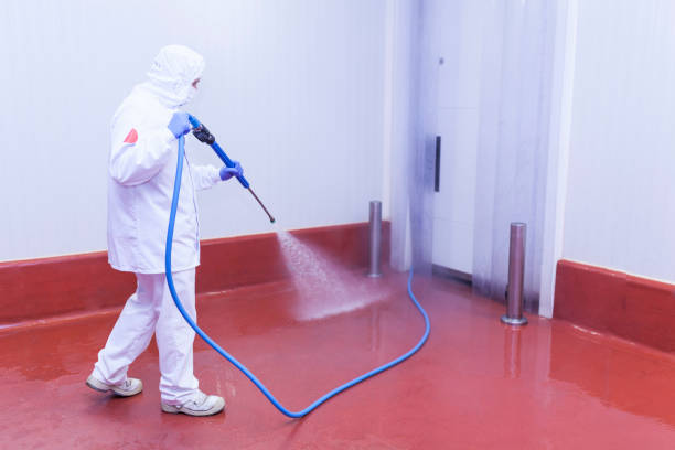 Best Concrete Sealing  in Lufkin, TX