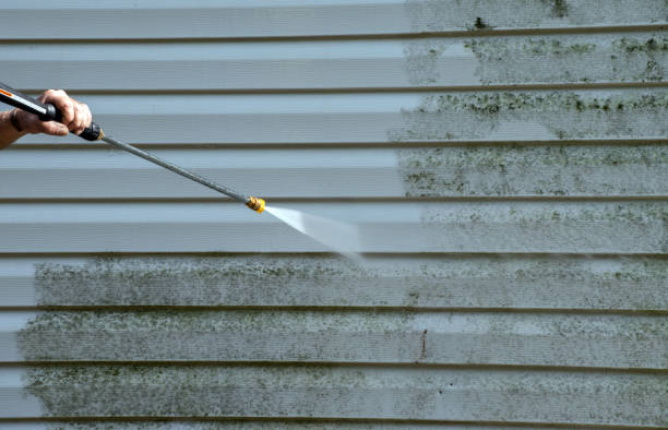 Best Solar Panel Cleaning  in Lufkin, TX